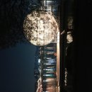 서울 한강대교 노들섬 야경 이미지