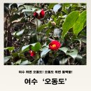 ▣ 제 86차 &#34; 여수 오동도 &amp; 밤바다 트레킹&#34; 안내 이미지