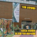 2025년 국제꽃장식대회 | 2025 제25회 국제꽃장식대회 &lt;10월 17~19일&gt; 신안 1004섬 분재정원
