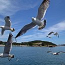 한국차문화공원 관광안내소 이미지