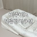 토&토쟁이 | 토쟁이 아기 비주비노 역류방지쿠션 사용 후기 신생아 역방쿠 추천