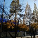 CU장유월산점 이미지