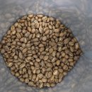 그라인딩 핸드드립 | 나를 위한 일상의 사치, 에티오피아 벤치마지 게이샤 핸드드립 후기 (feat. 꽃향기 가득한 홈카페)