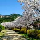 왕인박사유적지 이미지