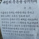 신석정문학관 문학기행 이미지