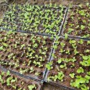 하우스 TALK 이미지