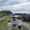영락 어린이집 | 2025년 5월 초반_연휴길어 힘들었지