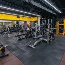 아인스 휘트니스 이미지