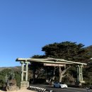 호주 멜버른 그레이트오션로드 투어 후기(내돈내산/헬기체험)