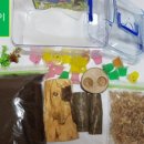 자연(애)장수 이미지