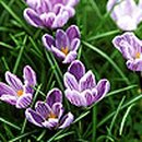 백마공원 이미지