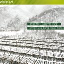 용대건어물 이미지