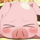 연세차오름의원 이미지