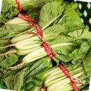 동호상회 이미지