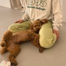 찾아가는 요가(임원) 이미지