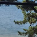 베이테라스 이미지