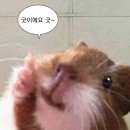 6109 | 울산 남구 속눈썹펌 잘하는 곳 찰리브로우, 클리닉영양펌 후기