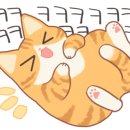오궁슈퍼 이미지