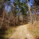 태백고원 700 산소길 이미지