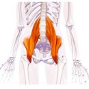 문화연세의원 이미지