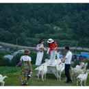 6.설원으로 가요~~!! 만항재,산양목장에서 기차로 동해바다 까지~~!! 이미지