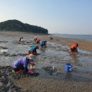 세어도 어촌체험휴양마을 이미지