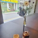 카키문 누하 이미지