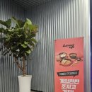 레벨업 코인노래연습장 이미지