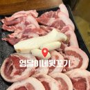 동탄원천로 2-45R | [영달이네뒷꼬기] 동탄 능동 맛집! 가성비 좋은 뒷고기 후기