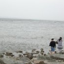 제호목장 | 통영펜션추천