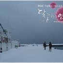 강현정 카카오 검색결과