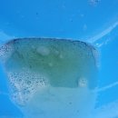 장미크리닝 이미지