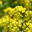 낙동강체육공원 축구장4 이미지