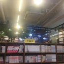 놀숲 강남대성학원점 네이버블로그