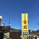 마이도물회