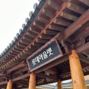 부여애견 이미지