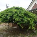 남원향교 대성전 이미지