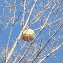 나본마을 쉼터 이미지