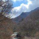 와운통나무산장가든 이미지