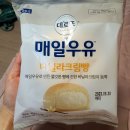 씨유 다산진건점 | [편의점/신상빵] cu 데르뜨 매일우유 바닐라크림빵