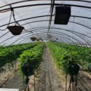 기찬농장 2 이미지