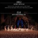 (공연) 국립발레단 <호두까기 인형> | 국립발레단 호두까기 인형 후기 | 최고의 크리스마스 공연 (세종예술의전당)