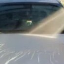 SEMO손세차 이미지