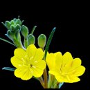 옥계남로-12 이미지