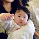 채원목장 이미지