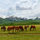 카자흐스탄+키르기스스탄 투어 이미지