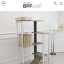 비피에프캣
