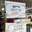 3년째 이용 중인 SLP 어린이회관 수영장 솔직 후기