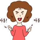 식껍원종점 이미지