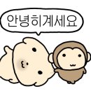 떼네룸 밤리단길